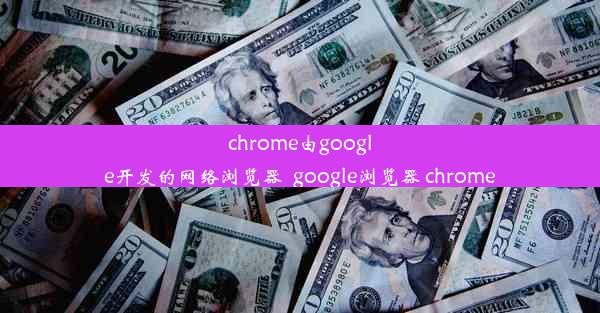 chrome由google开发的网络浏览器_google浏览器 chrome