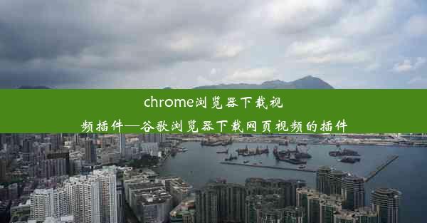 chrome浏览器下载视频插件—谷歌浏览器下载网页视频的插件