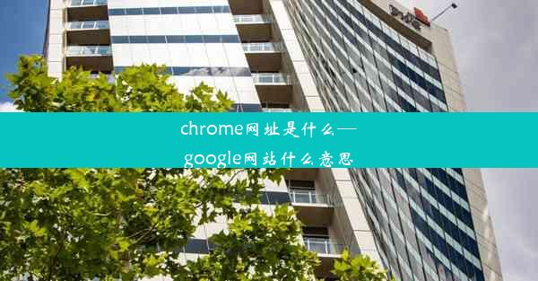 chrome网址是什么—google网站什么意思