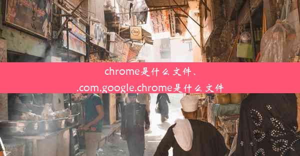 chrome是什么文件、.com.google.chrome是什么文件