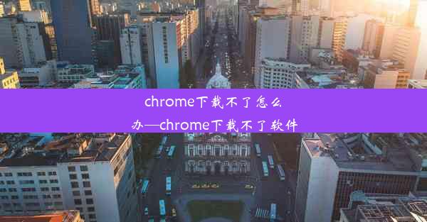 chrome下载不了怎么办—chrome下载不了软件