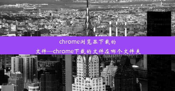 chrome浏览器下载的文件—chrome下载的文件在哪个文件夹