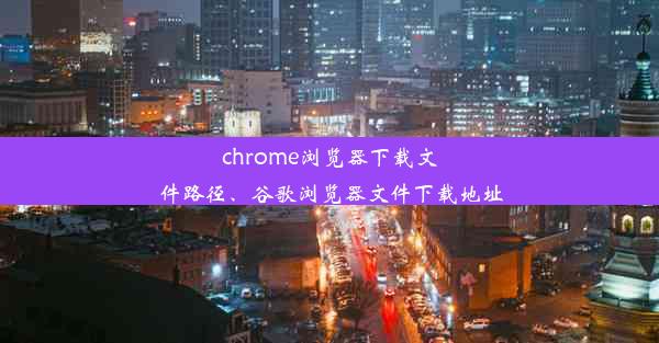 chrome浏览器下载文件路径、谷歌浏览器文件下载地址