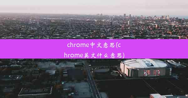 chrome中文意思(chrome英文什么意思)