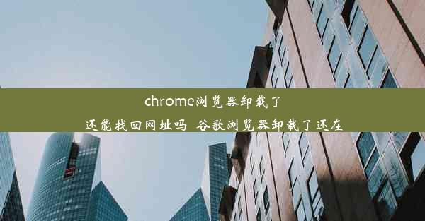 chrome浏览器卸载了还能找回网址吗_谷歌浏览器卸载了还在