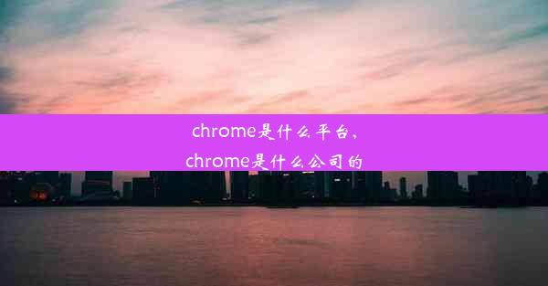 chrome是什么平台,chrome是什么公司的