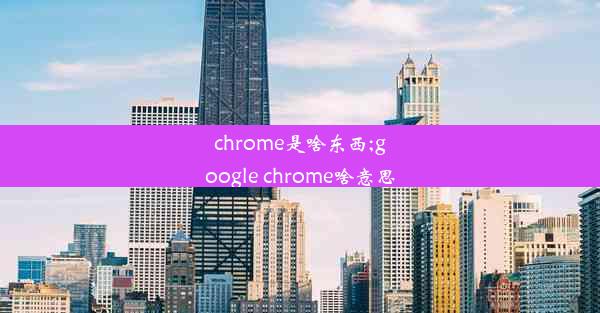 chrome是啥东西;google chrome啥意思