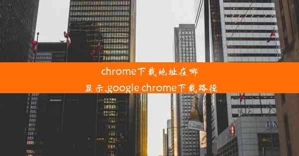 chrome下载地址在哪显示,google chrome下载路径