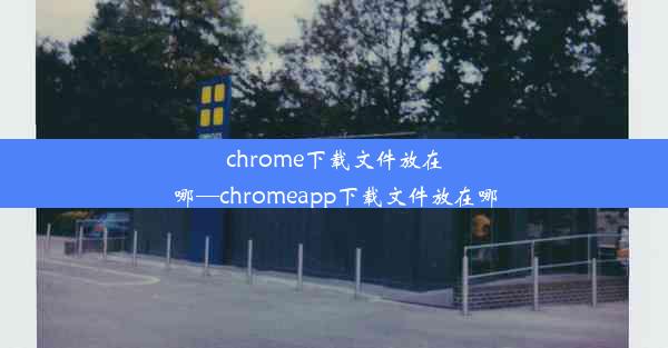 chrome下载文件放在哪—chromeapp下载文件放在哪