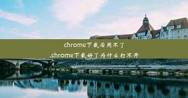 chrome下载后用不了,chrome下载好了为什么打不开