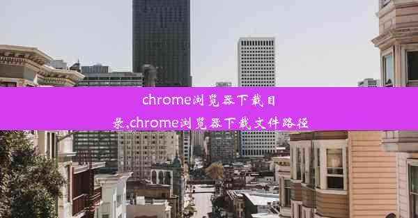 chrome浏览器下载目录,chrome浏览器下载文件路径