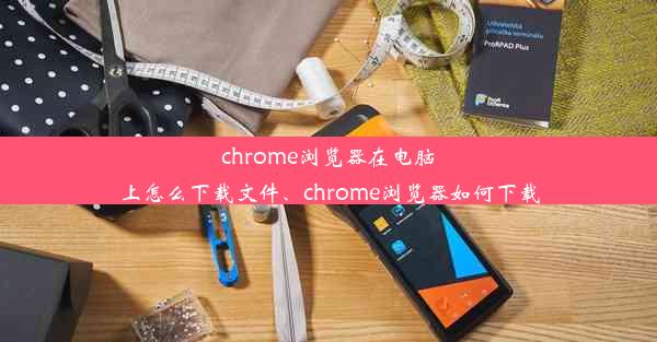 chrome浏览器在电脑上怎么下载文件、chrome浏览器如何下载