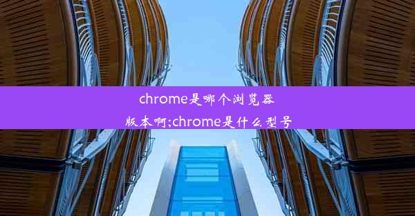 chrome是哪个浏览器版本啊;chrome是什么型号