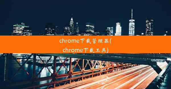 chrome下载管理器(chrome下载工具)