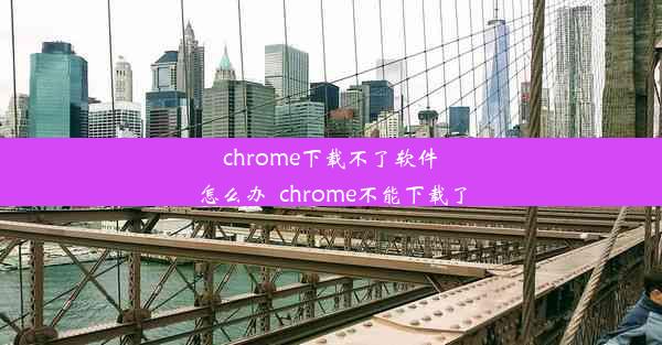 chrome下载不了软件怎么办_chrome不能下载了