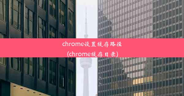 chrome设置缓存路径(chrome缓存目录)