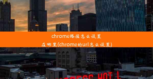 chrome路径怎么设置在哪里(chrome的url怎么设置)