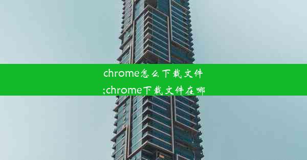 chrome怎么下载文件;chrome下载文件在哪