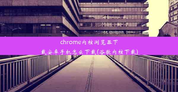 chrome内核浏览器下载安卓手机怎么下载(谷歌内核下载)