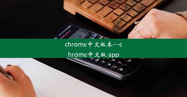 chrome中文版本—chrome中文版 app