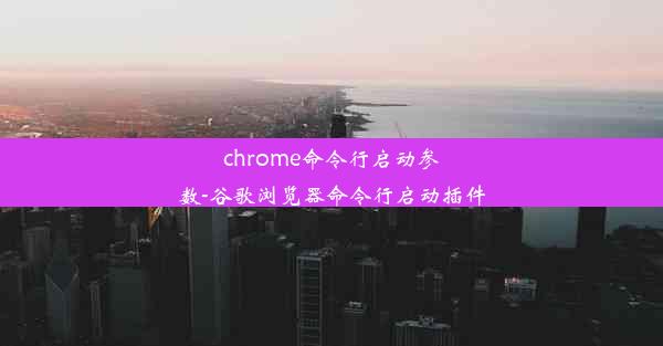 chrome命令行启动参数-谷歌浏览器命令行启动插件