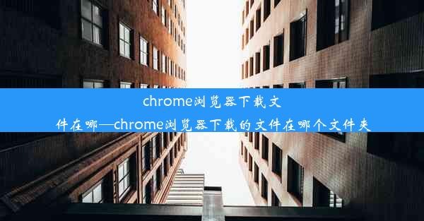 chrome浏览器下载文件在哪—chrome浏览器下载的文件在哪个文件夹