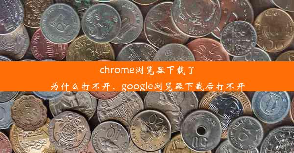 chrome浏览器下载了为什么打不开、google浏览器下载后打不开