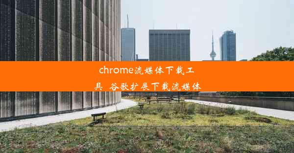 chrome流媒体下载工具_谷歌扩展下载流媒体