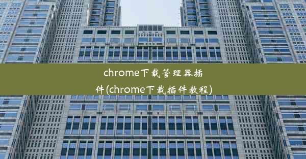 chrome下载管理器插件(chrome下载插件教程)