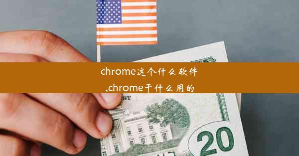 chrome这个什么软件,chrome干什么用的