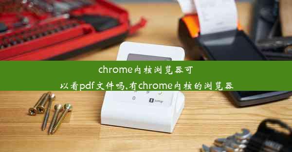 chrome内核浏览器可以看pdf文件吗,有chrome内核的浏览器