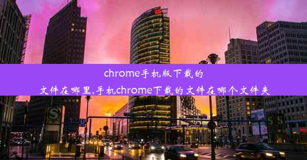 chrome手机版下载的文件在哪里,手机chrome下载的文件在哪个文件夹