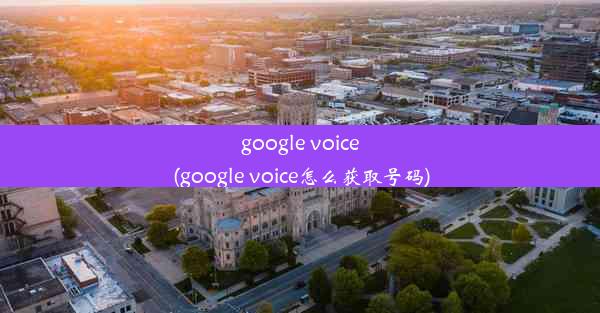 google voice(google voice怎么获取号码)