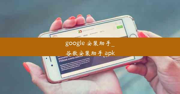 google 安装助手_谷歌安装助手 apk