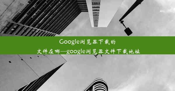 Google浏览器下载的文件在哪—google浏览器文件下载地址