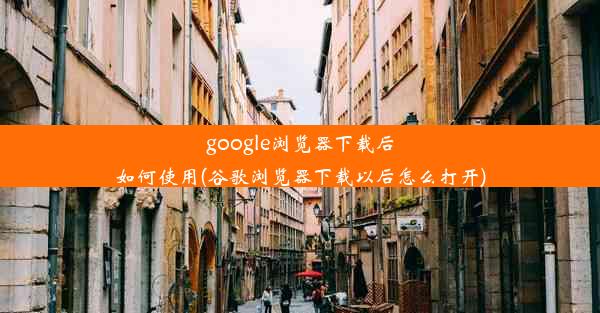 google浏览器下载后如何使用(谷歌浏览器下载以后怎么打开)