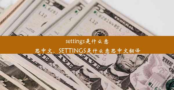 settings是什么意思中文、SETTINGS是什么意思中文翻译