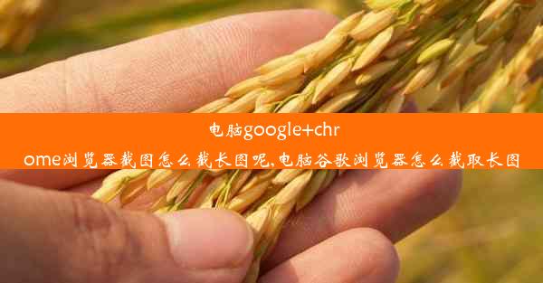 电脑google+chrome浏览器截图怎么截长图呢,电脑谷歌浏览器怎么截取长图