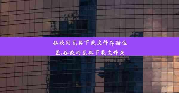 谷歌浏览器下载文件存储位置,谷歌浏览器下载文件夹