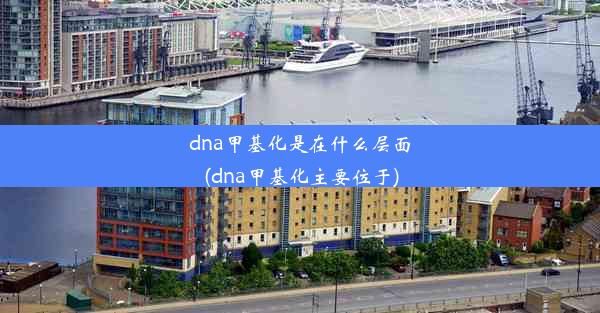 dna甲基化是在什么层面(dna甲基化主要位于)