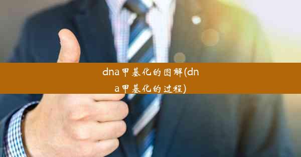 dna甲基化的图解(dna甲基化的过程)