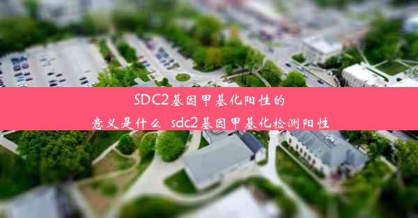 SDC2基因甲基化阳性的意义是什么_sdc2基因甲基化检测阳性