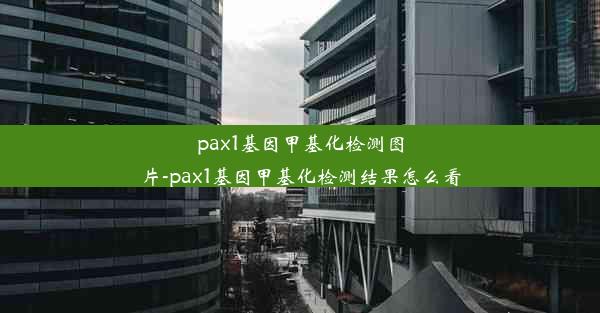 pax1基因甲基化检测图片-pax1基因甲基化检测结果怎么看