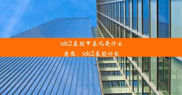 sdc2基因甲基化是什么意思、sdc2基因功能