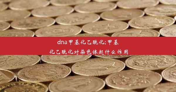 dna甲基化乙酰化;甲基化乙酰化对染色体起什么作用