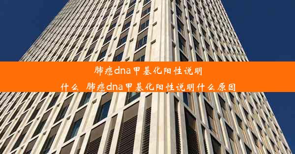 肺癌dna甲基化阳性说明什么_肺癌dna甲基化阳性说明什么原因